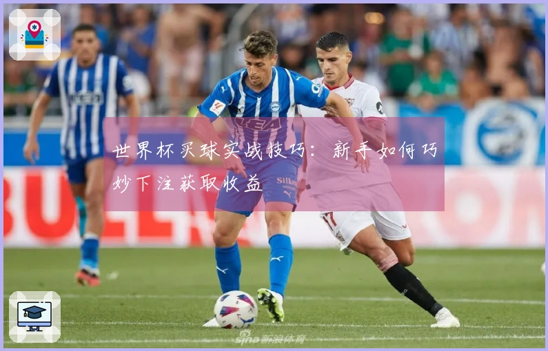 世界杯买球实战技巧：新手如何巧妙下注获取收益