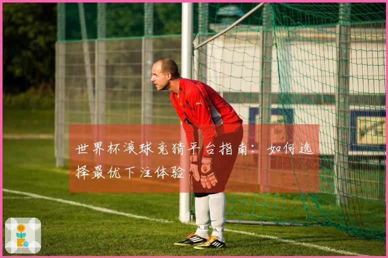 世界杯滚球竞猜平台指南：如何选择最优下注体验
