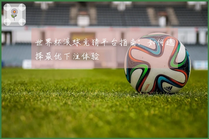世界杯滚球竞猜平台指南：如何选择最优下注体验