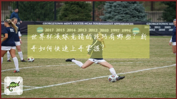 世界杯滚球竞猜的技巧有哪些？新手如何快速上手掌握？